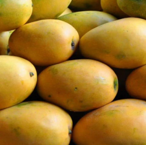 Banganpalli/Benishan Mangoes