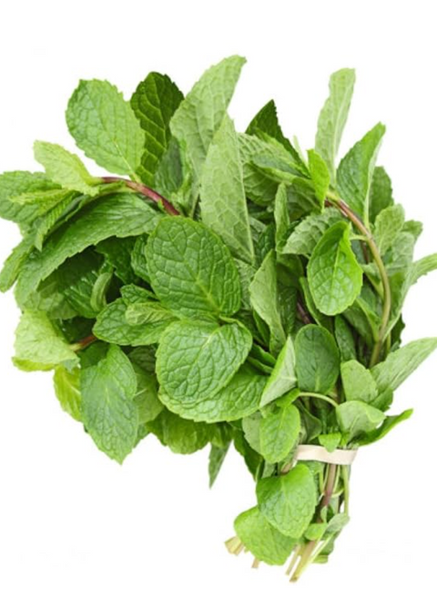 Mint Leaves