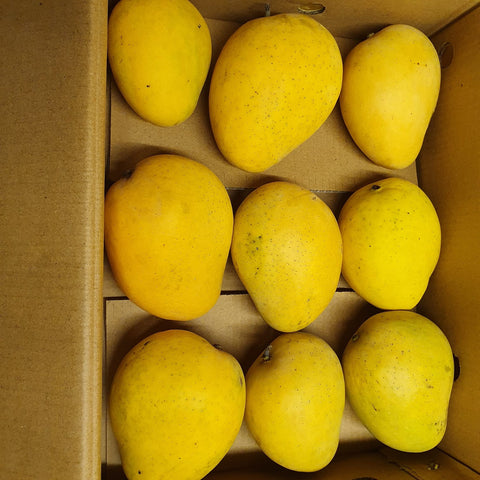 Banganpalli/Benishan Mangoes